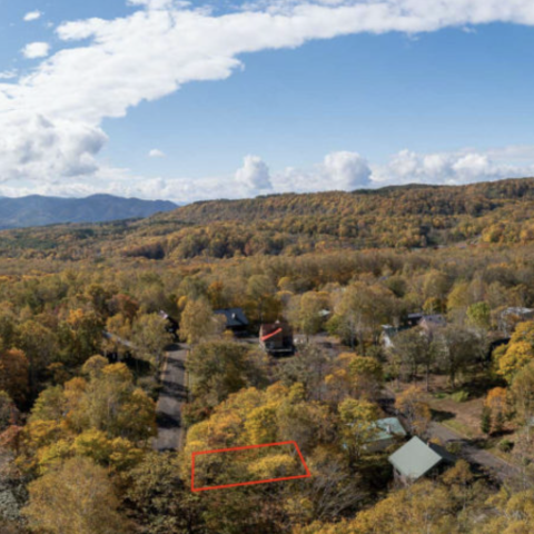 Screenshot 2024-07-05 at 12.50.56 PM