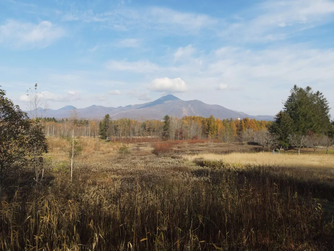 462567111_1245095523364769_4298956100195527987_n